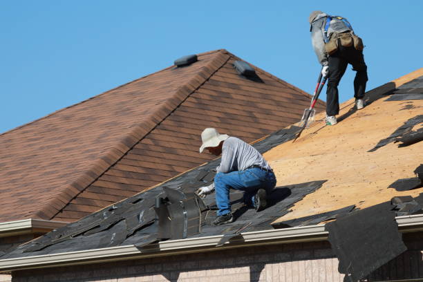 Best Roofing for New Construction  in Conrad, MT