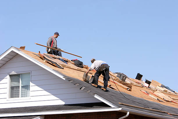 Reliable Conrad, MT  Roofing repair and installation Solutions